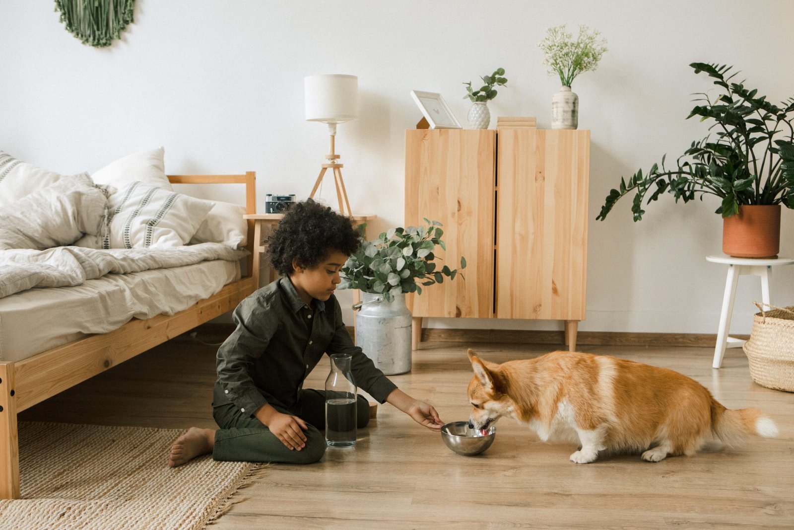 Senior Dog Loses Balance While Drinking Water? 7 Ways to Make the Water Area Safer