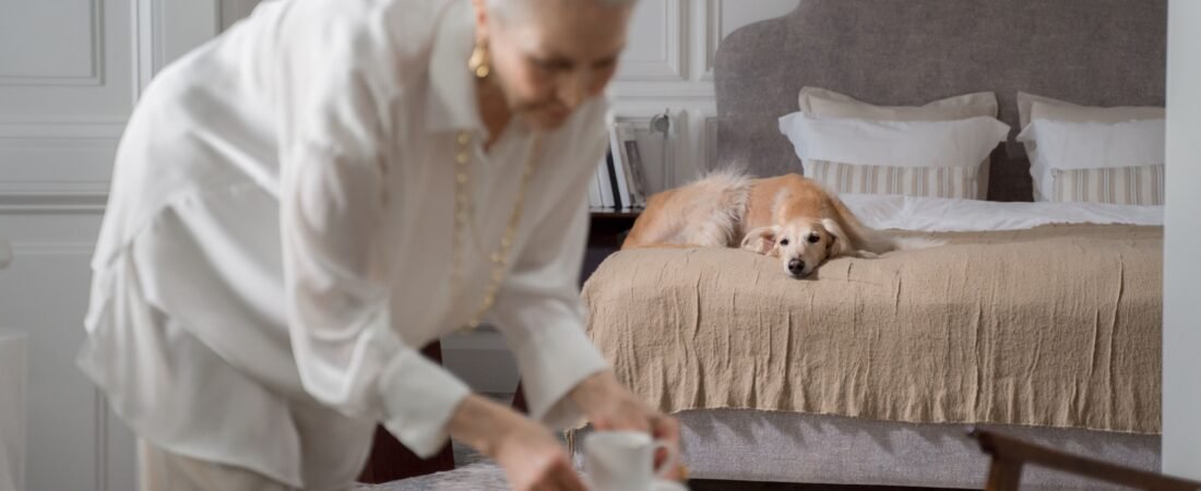 Senior Dog Doesn’t Respond to Your Voice Anymore? What to Check