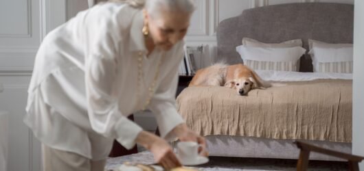 Senior Dog Doesn’t Respond to Your Voice Anymore? What to Check