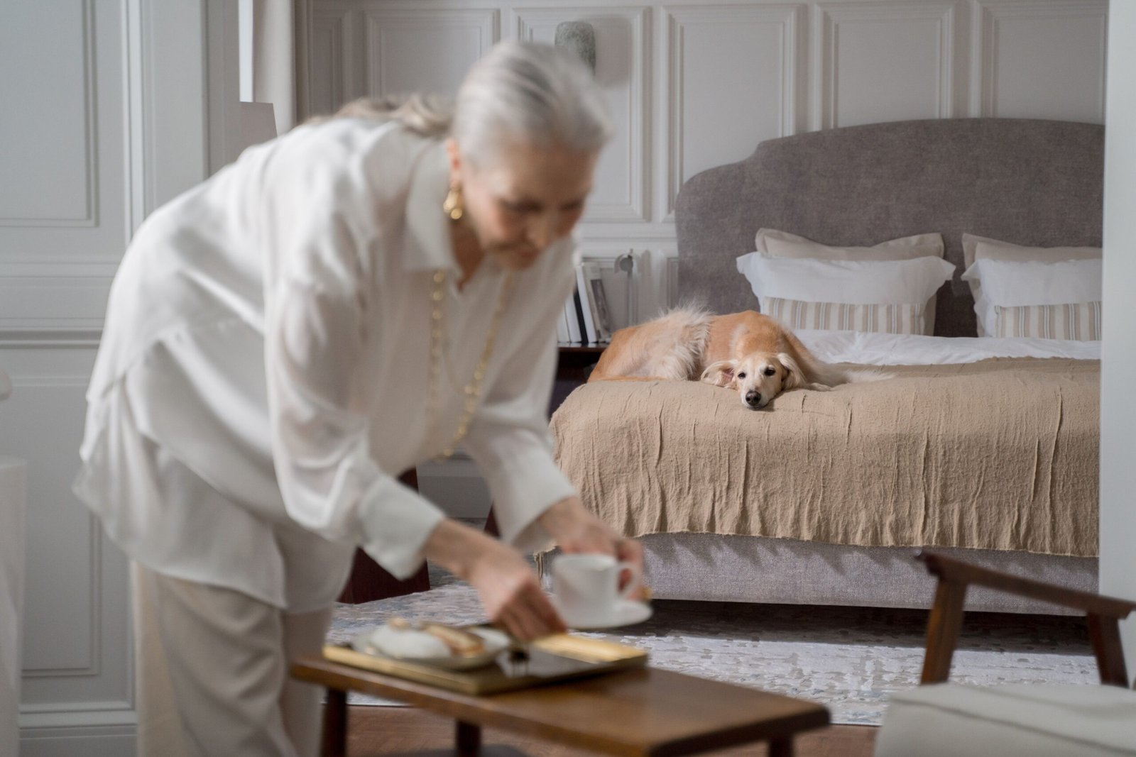 Senior Dog Doesn’t Respond to Your Voice Anymore? What to Check